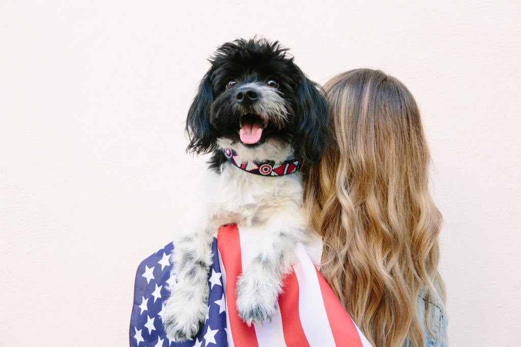 Preparing your Dogs for Fireworks